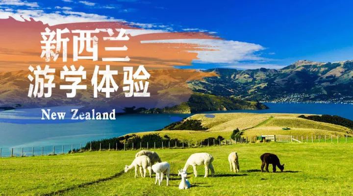 招募新西兰游学免费体验官 | 用最酷炫的方式，遇见世界的后花园